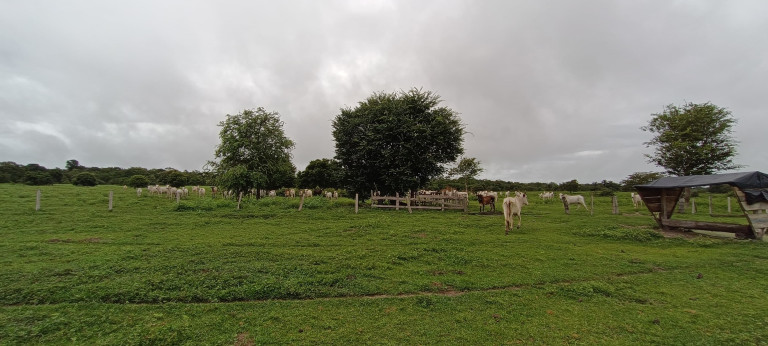 Chácara à Venda, 884 m² em Centro - Paranatinga