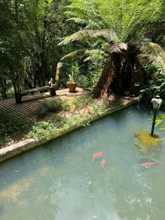Imagem Fazenda à Venda, 5 m² em Rio Das Pedras - Guarapuava Imagem Fazenda à Venda, 5 m² em Rio Das Pedras - Guarapuava