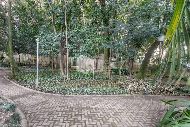Imagem Apartamento com 3 Quartos à Venda, 86 m² em Vila Mascote - São Paulo Imagem Apartamento com 3 Quartos à Venda, 86 m² em Vila Mascote - São Paulo