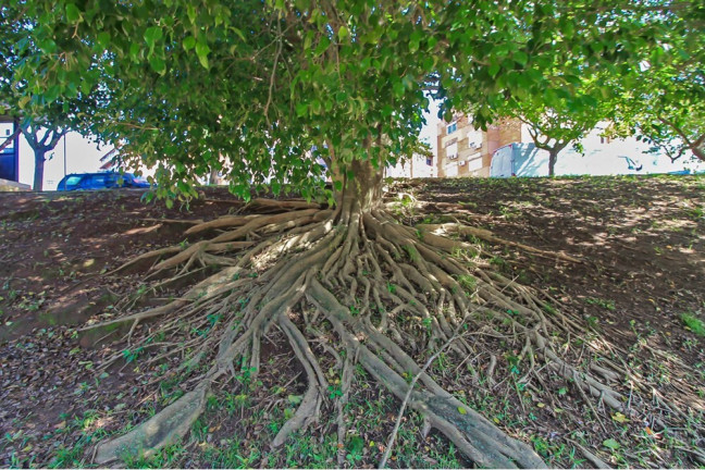 Imagem Imóvel com 2 Quartos à Venda,  em Cavalhada - Porto Alegre