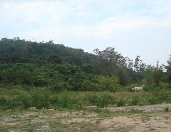Terreno à Venda, 6.393 m² em Chácara Ventura - Ferraz De Vasconcelos