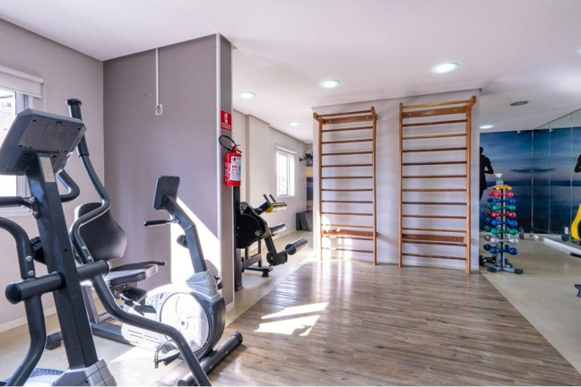 Imagem Apartamento com 3 Quartos à Venda, 66 m² em Parque Reboucas - São Paulo Imagem Apartamento com 3 Quartos à Venda, 66 m² em Parque Reboucas - São Paulo