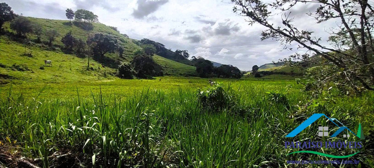 Imagem Chácara à Venda, 21 m² em Centro - Paraisópolis