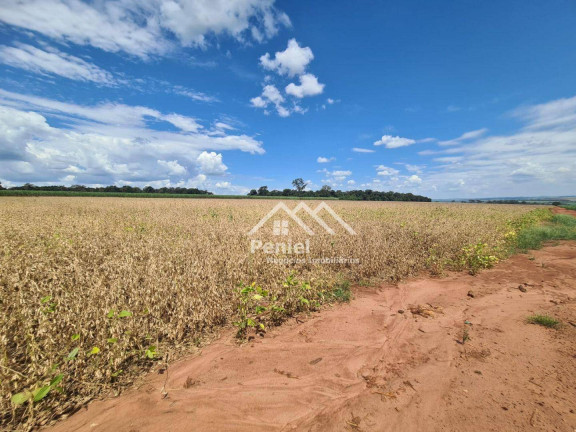 Imagem Fazenda à Venda, 500 m² em Luis Antonio - Luís Antônio Imagem Fazenda à Venda, 500 m² em Luis Antonio - Luís Antônio