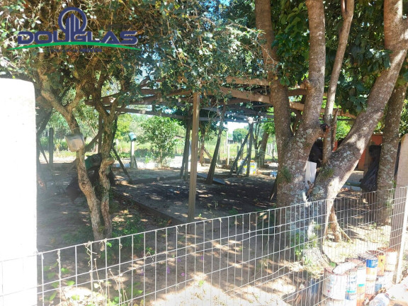 Imagem Chácara com 2 Quartos à Venda, 11.000 m² em Viamão
