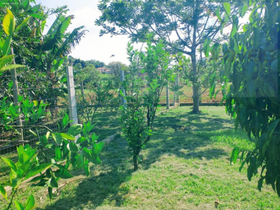 Imagem Chácara com 2 Quartos à Venda, 4.326 m² em Azurita