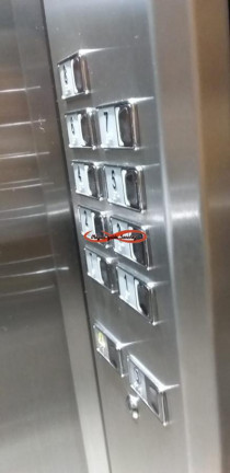 Imagem Apartamento com 2 Quartos à Venda, 57 m² em Parque Paineiras - São Paulo