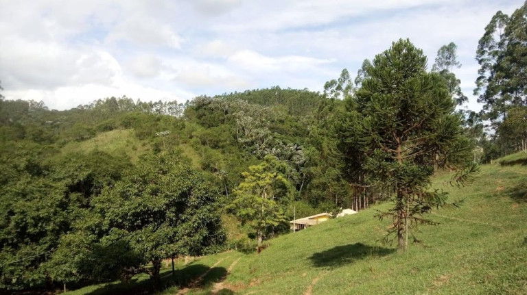 Imagem Chácara com 2 Quartos à Venda, 200 m² em Centro - Paraibuna Imagem Chácara com 2 Quartos à Venda, 200 m² em Centro - Paraibuna