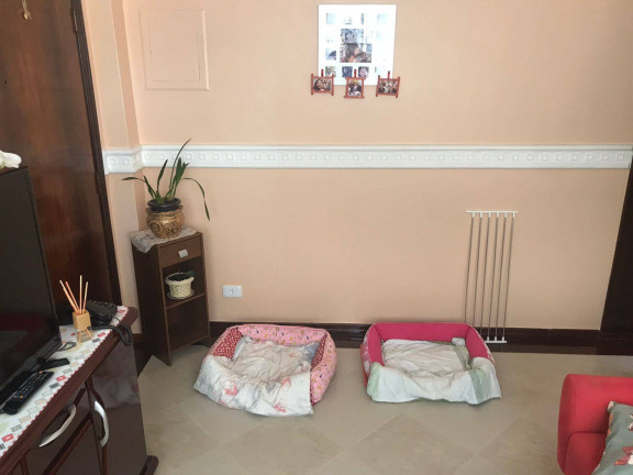 Imagem Apartamento com 2 Quartos à Venda, 64 m² em Taboão - São Bernardo Do Campo