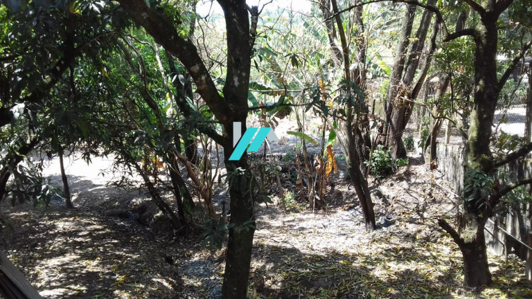 Imagem Fazenda à Venda, 2.000 m² em Casa Amarela (charneca) - Betim Imagem Fazenda à Venda, 2.000 m² em Casa Amarela (charneca) - Betim