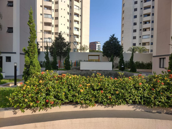 Imagem Apartamento com 3 Quartos à Venda, 70 m² em Vila Monumento - São Paulo