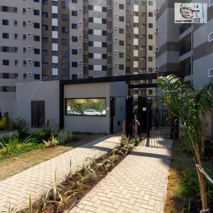 Imagem Apartamento com 2 Quartos à Venda, 46 m² em Jardim Guarani - Campinas Imagem Apartamento com 2 Quartos à Venda, 46 m² em Jardim Guarani - Campinas