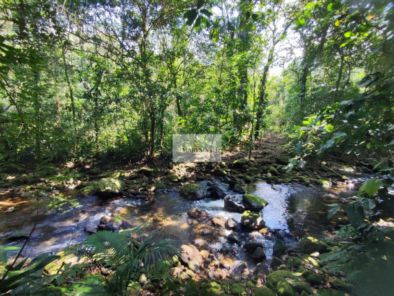 Imagem Terreno à Venda, 50.000 m² em Maresias - São Sebastião Imagem Terreno à Venda, 50.000 m² em Maresias - São Sebastião
