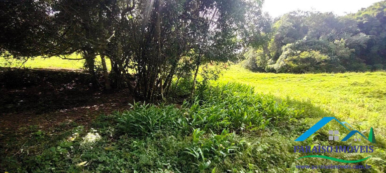 Imagem Chácara à Venda, 21 m² em Centro - Paraisópolis