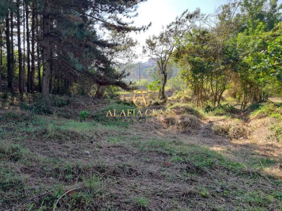 Imagem Terreno em Condomínio à Venda, 1.420 m² em Chácara Santa Lúcia - Carapicuíba