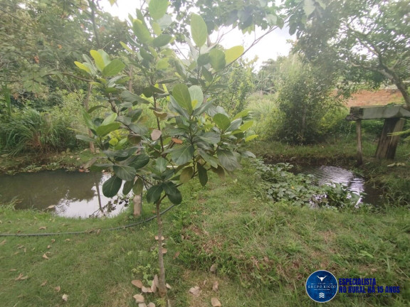 Imagem Chácara à Venda, 2 m² em Zona Rural - Bonfinópolis Imagem Chácara à Venda, 2 m² em Zona Rural - Bonfinópolis