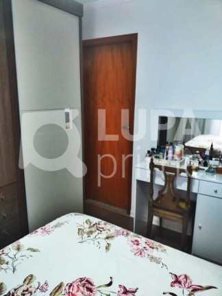 Imagem Casa com 3 Quartos à Venda, 90 m² em Vila Nova Mazzei - São Paulo Imagem Casa com 3 Quartos à Venda, 90 m² em Vila Nova Mazzei - São Paulo