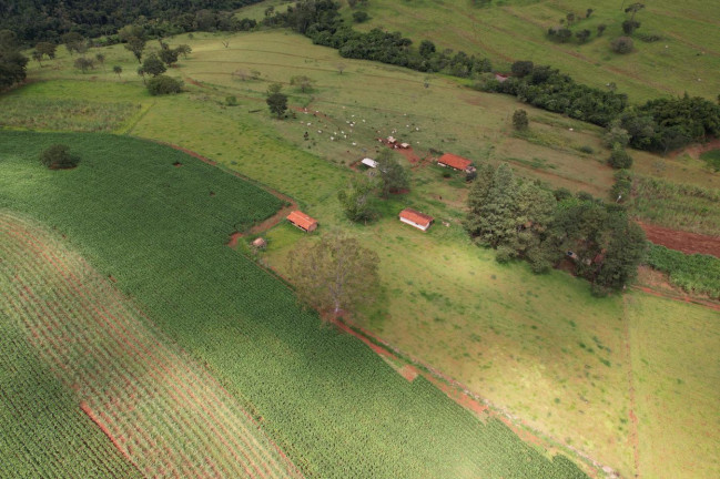 Imagem Chácara à Venda, 17 m² em Zona Rural - Cajuru Imagem Chácara à Venda, 17 m² em Zona Rural - Cajuru