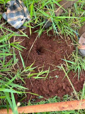 Imagem Fazenda à Venda, 38 m² em Rural - Piraju