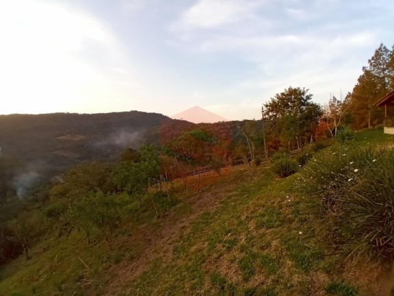 Imagem Chácara com 1 Quarto à Venda, 1 m² em Itambezinho - Campo Largo