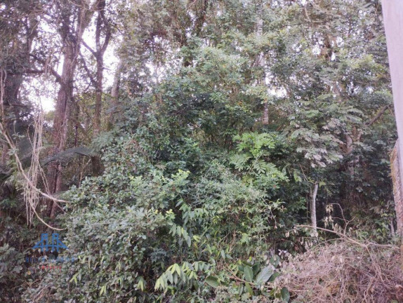 Imagem Terreno à Venda, 460 m² em Córrego Grande - Florianópolis Imagem Terreno à Venda, 460 m² em Córrego Grande - Florianópolis
