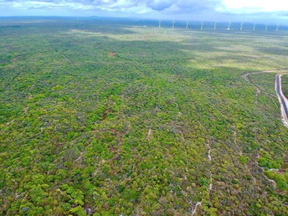 Imagem Terreno à Venda, 970.000 m² em área Rural De Aracati - Aracati Imagem Terreno à Venda, 970.000 m² em área Rural De Aracati - Aracati