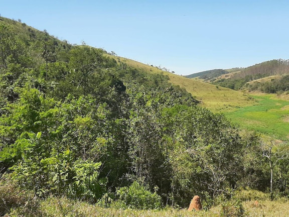 Imagem Fazenda à Venda, 200 m² em Canaã I - Jambeiro Imagem Fazenda à Venda, 200 m² em Canaã I - Jambeiro