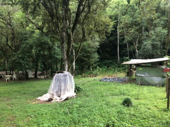 Imagem Imóvel com 2 Quartos à Venda, 80 m² em Linha Pirajá Baixa - Nova Petrópolis