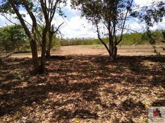 Imagem Terreno à Venda, 50.000 m² em Aldeia Dos Camarás - Camaragibe Imagem Terreno à Venda, 50.000 m² em Aldeia Dos Camarás - Camaragibe