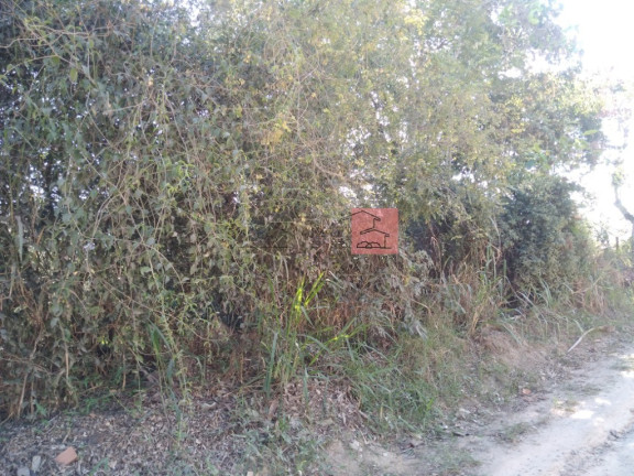 Imagem Terreno à Venda, 3.065 m² em Rincão Mimoso (itaipuaçu) - Maricá Imagem Terreno à Venda, 3.065 m² em Rincão Mimoso (itaipuaçu) - Maricá