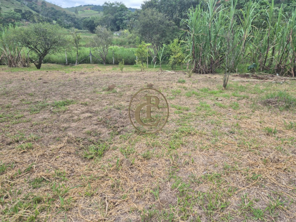 Imagem Chácara com 3 Quartos à Venda, 80.000 m² em Buquirinha - São José Dos Campos Imagem Chácara com 3 Quartos à Venda, 80.000 m² em Buquirinha - São José Dos Campos