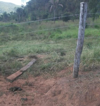Imagem Imóvel à Venda,  em Região Central Do Tocantins - Pedro Afonso