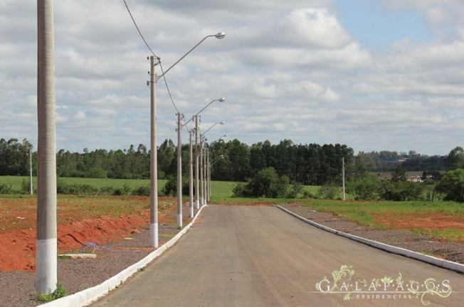 Imagem Terreno à Venda, 252 m² em Diácono João Luiz Pozzobon - Santa Maria