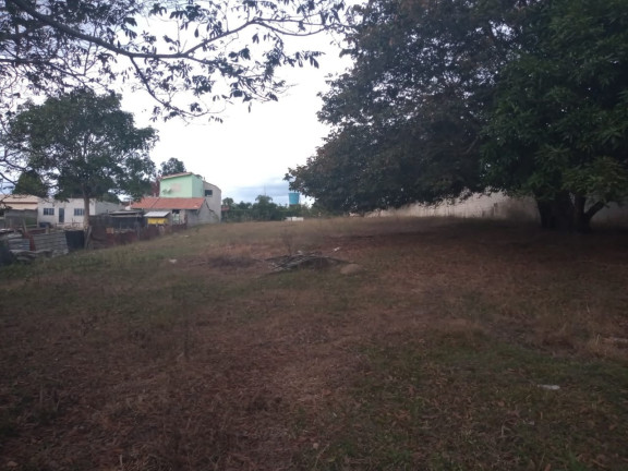 Imagem Terreno à Venda, 3.100 m² em Pedro Leme - Roseira Imagem Terreno à Venda, 3.100 m² em Pedro Leme - Roseira