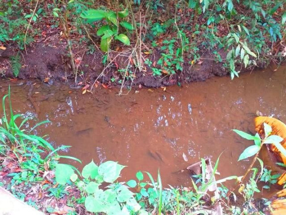 Imagem Chácara à Venda, em Bairro Saltinho - Ibiúna Imagem Chácara à Venda, em Bairro Saltinho - Ibiúna
