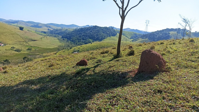 Imagem Chácara com 2 Quartos à Venda, 200 m² em Canaã - Jambeiro Imagem Chácara com 2 Quartos à Venda, 200 m² em Canaã - Jambeiro