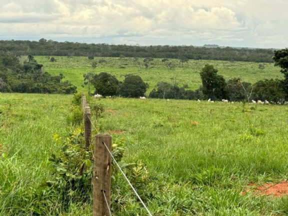 Imagem Fazenda à Venda, 1.936 m² em Zona Rural - Primavera Do Leste Imagem Fazenda à Venda, 1.936 m² em Zona Rural - Primavera Do Leste