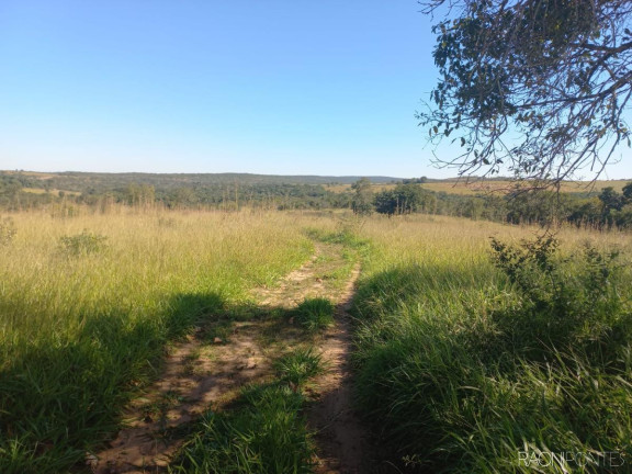 Imagem Fazenda à Venda, 10.000.000 m² em Zona Rural - Camapuã Imagem Fazenda à Venda, 10.000.000 m² em Zona Rural - Camapuã