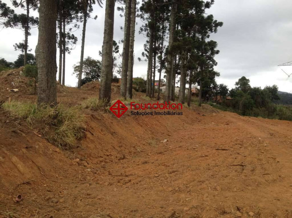 Imagem Terreno à Venda, 2 m² em Jardim Sandra - Cotia