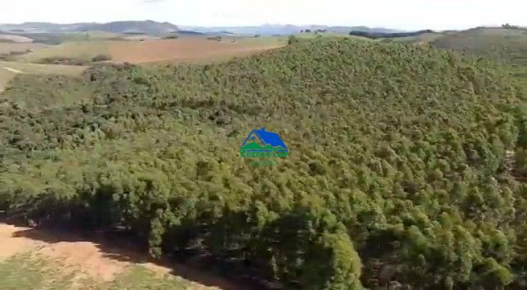 Imagem Imóvel com 1 Quarto à Venda, 1.000.000 m² em Zona Rural - Seritinga Imagem Imóvel com 1 Quarto à Venda, 1.000.000 m² em Zona Rural - Seritinga