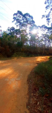 Imagem Imóvel à Venda, 266.200 m² em Pedra Vermelha (terra Preta) - Mairiporã Imagem Imóvel à Venda, 266.200 m² em Pedra Vermelha (terra Preta) - Mairiporã