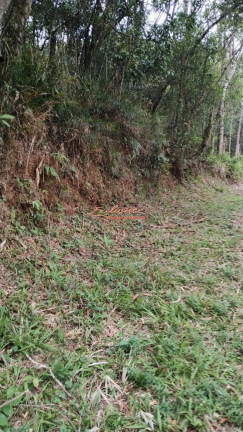 Imagem Chácara à Venda, 2.100 m² Imagem Chácara à Venda, 2.100 m²