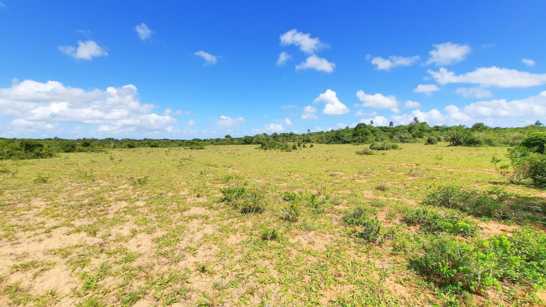 Imagem Fazenda à Venda, 900.000 m² em Centro - Viamão Imagem Fazenda à Venda, 900.000 m² em Centro - Viamão