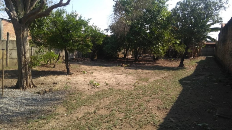 Imagem Casa com 4 Quartos à Venda, em Centro - Roseira Imagem Casa com 4 Quartos à Venda, em Centro - Roseira
