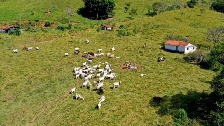 Imagem Fazenda à Venda, 159 m² em Jacaré - Santa Branca Imagem Fazenda à Venda, 159 m² em Jacaré - Santa Branca