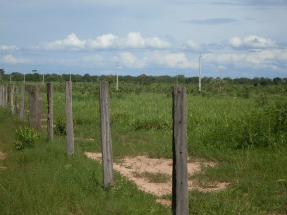 Imagem Imóvel à Venda, em Região Do Araguaia Xingu - São Félix Do Araguaia Imagem Imóvel à Venda, em Região Do Araguaia Xingu - São Félix Do Araguaia