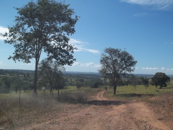 Imagem Fazenda à Venda, 222 m² em Zona Rural - Professor Jamil Imagem Fazenda à Venda, 222 m² em Zona Rural - Professor Jamil