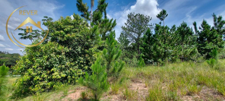 Imagem Terreno à Venda, 4.698 m² em Chácara Bela Vista - Campinas Imagem Terreno à Venda, 4.698 m² em Chácara Bela Vista - Campinas