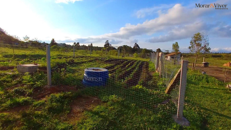Imagem Chácara à Venda, 32.800 m² em Ambrósio - Tijucas Do Sul