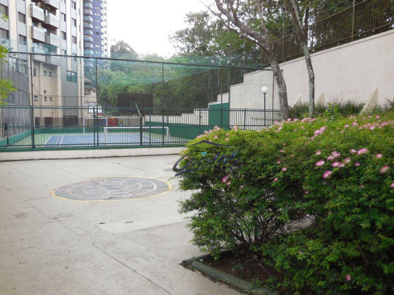 Imagem Apartamento com 3 Quartos à Venda, 96 m² em Vila Indiana - São Paulo